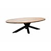 Andros | Ovale Matrix Eettafel | 220x100x77 - TWR-BM0136