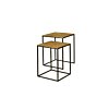 Iron Bijzettafel set van 2 | 40x50x52 - TWR-MG8916-AB