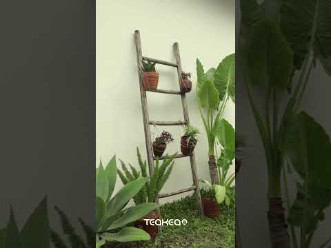 Teakhouten decoratie ladder | Rustiek Bruin | 50x5x150 - TK-DL-50x5x150-RUSTIEK-BRUIN - alternate view