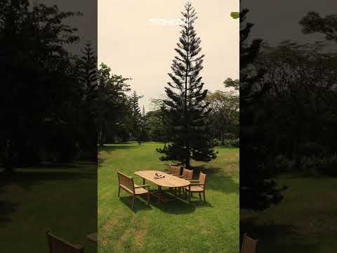 Tuintafel 240-280-110 XXL groot formaat - view 3