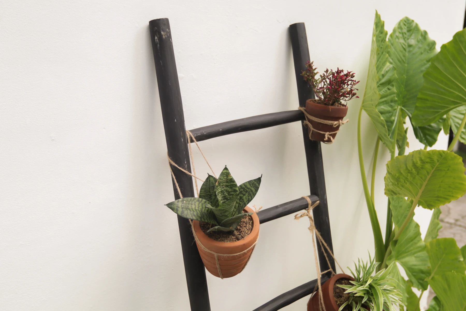 Decoratie ladder mat zwart Teakhout - view 3