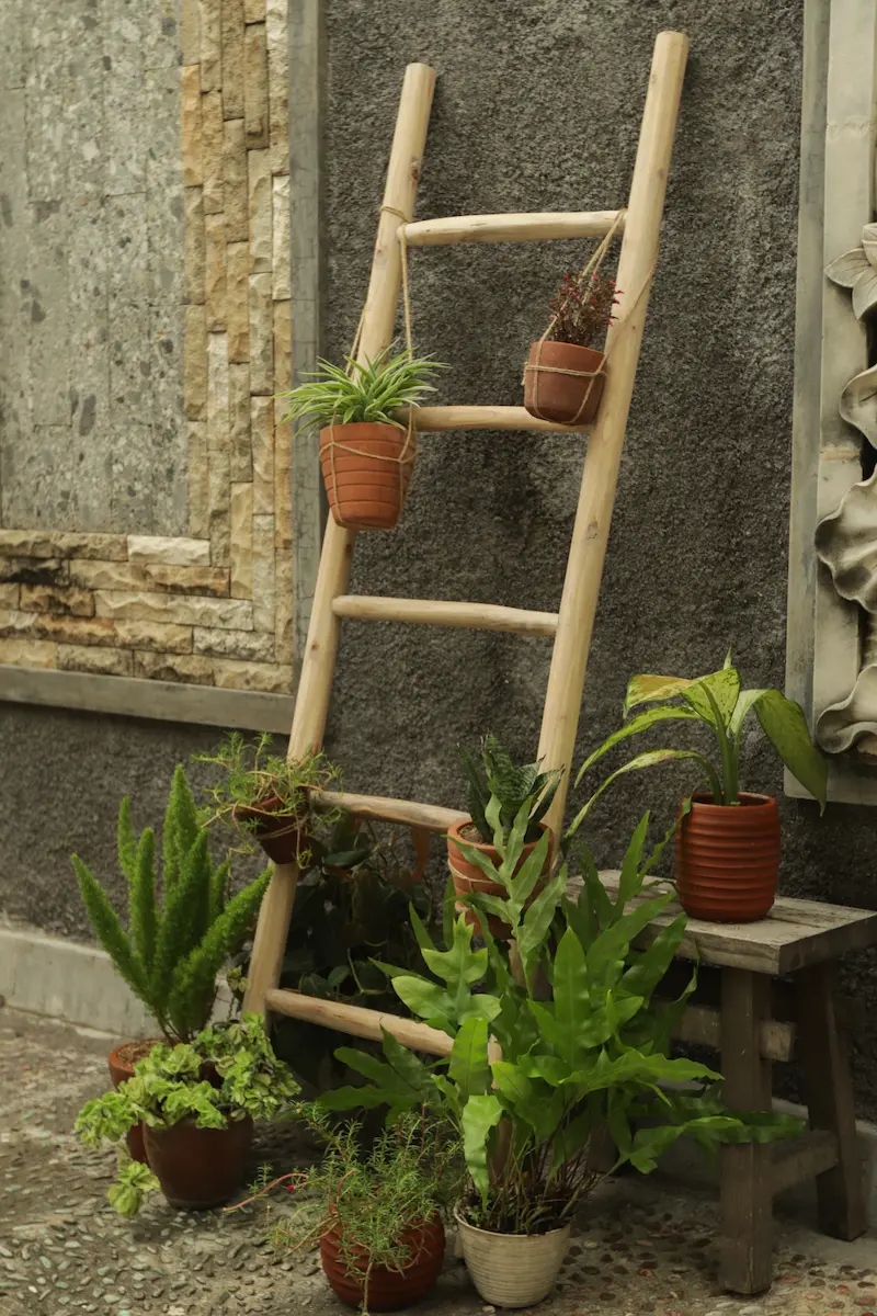 Houten decoratie ladder | White oiled | 50x5x150 - TK-DL-50x5x150-WHITE-OILED - alternate view